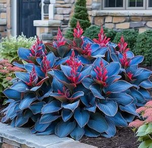 Хоста Грин Фог купить по цене от 669р. в интернет-магазине «Посадика» с доставкой почтой в в Карабулаке и по всей России – [изображение №1].