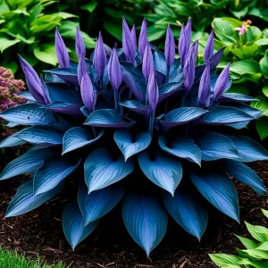 Хоста Сикрет Гров купить по цене от 570р. в интернет-магазине «Посадика» с доставкой почтой в в Карабулаке и по всей России – [изображение №1].